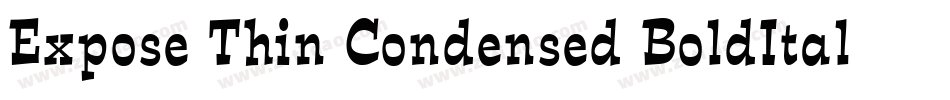 Expose Thin Condensed BoldItalic字体转换